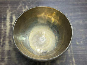 The Hummingbird's Garden. 8.5 Inch Hand-Painted Singing Bowl. Limited Edition Run
