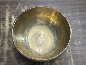 The Hummingbird's Garden. 8.5 Inch Hand-Painted Singing Bowl. Limited Edition Run