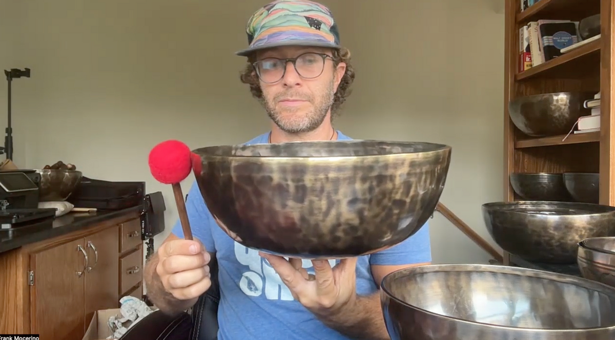 Perfect Fifth Bowl Pair: 9.5" C# and 12.5" F# 0022