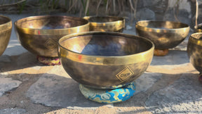 3rd Octave C Major Scale Legacy Collection Bronze Makers Mark Singing Bowls