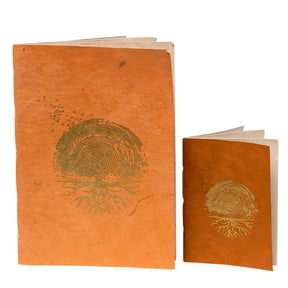 The Mind Expansion Bundle