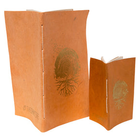 The Mind Expansion Bundle
